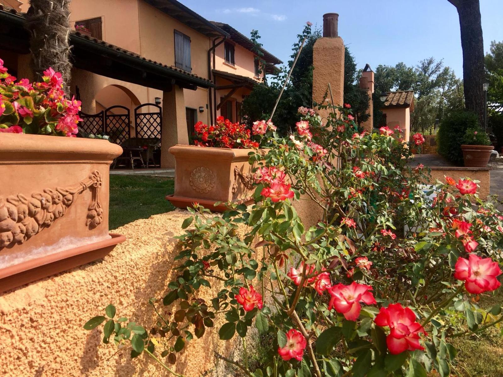 Agriturismo Terranera สคานซาโน ภายนอก รูปภาพ