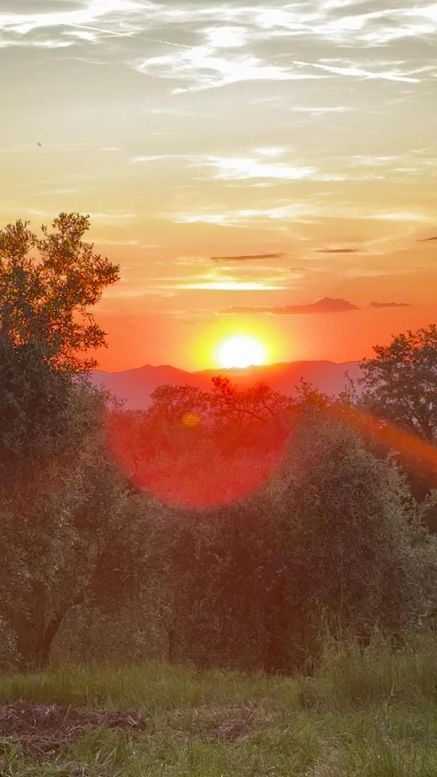 Agriturismo Terranera สคานซาโน ภายนอก รูปภาพ